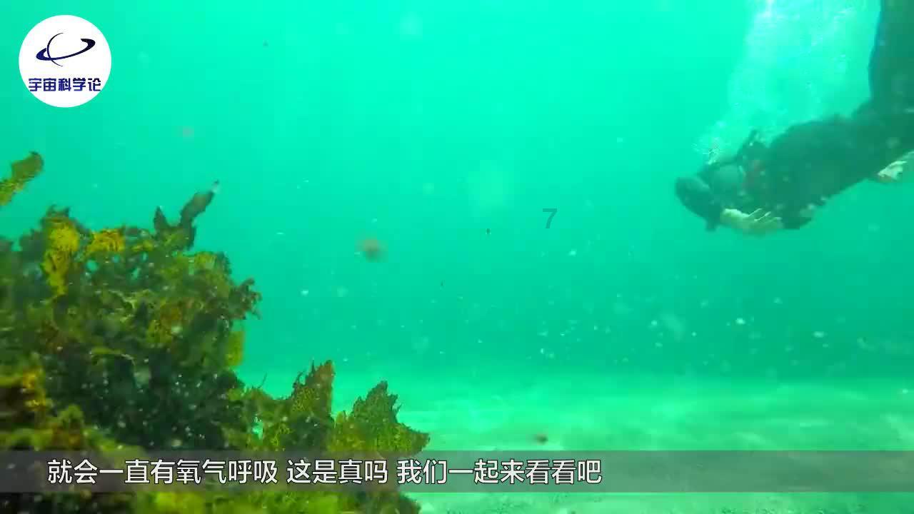 探秘吉鹿力问答社区,参与朋友被坑了,怎么办?讨论