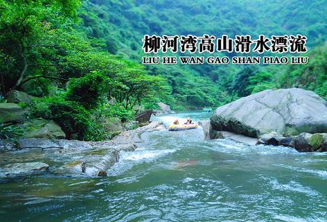 春雨直播app